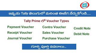 Types of Vouchers in Tally Prime and Explained Telugu by Sateesh