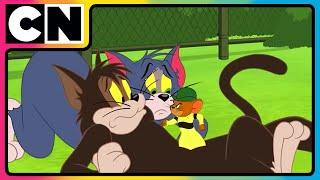 Tom and Jerry | The Squeaky Ball  Chaos! | Cat and Mouse | Cartoon for Kids | @cnindia