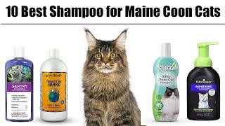 10 Best Shampoo for Maine Coon Cats