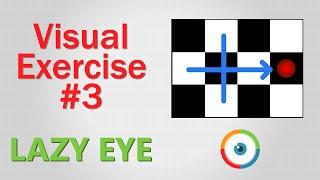 Lazy Eye Exercise #03