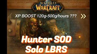 Hunter SOD Solo LBRS Guide ( 140g-500g/hours ??? )