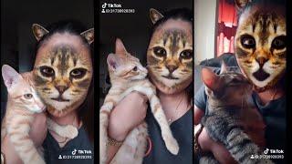 TikTok: Cat Hilarious Reaction To Cat Filter!