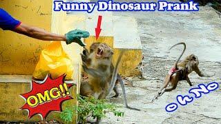 funny Dinosaur Head Prank Monkey