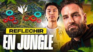 COMMENT RÉFLÉCHIR EN JUNGLE ? (Je vous dis tout)