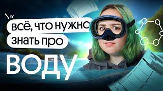 ️ всё про ВОДУ для ЕГЭ по биологии 2025 ️