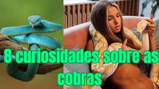 8 curiosidades sobre as cobras