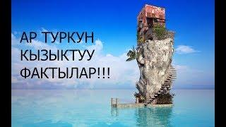 СИЗ БИЛБЕГЕН КЫЗЫКТУУ ФАКТЫЛАР!!!