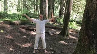 Shake It Off- Cloud Hands Qi Gong