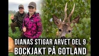 Dianas Stigar Arvet del 9 - Bockjakt på Gotland