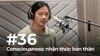 #36 – Consciousness: nhận thức, thực tại và hiện sinh