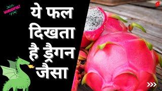 ये फल दिखता है ड्रैगन जैसा Mahanga Fruit  ड्रैगन फ्रूट के बारे में #dragonfruit #shorts #fruits