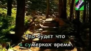 Караоке  Перекати Поле  Надежда Чепрага xvid