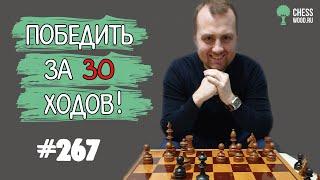 Победить за 30 ходов № 267. Сицилианская защита. Дебют не важен!