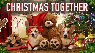 WONDERFUL CHRISTMAS - Topi the Corgi