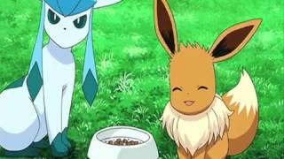 Pokemon Eevee Evolution AMV  Timber