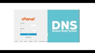 How to Manage DNS records on Cpanel