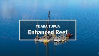 Te Ara Tupua enhanced reef