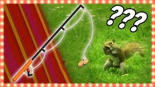 Squirrel Fishing Challenge! | BANZAI | Game Show Showdown