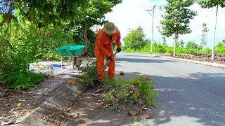 A beautiful sidewalk was neglected - the path was overgrown with weeds