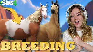 REALISTIC BREEDING SPIRIT AND RAIN IN SIMS 4 - Horse Ranch | Pinehaven