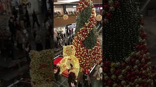 22.12.24. Tashkent City Mall. New year. #video #snow #art