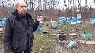 Пасеки НЕТ, но "Творческое пчеловодство" продолжается! | War in Ukraine