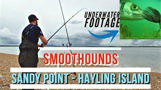 Smoothound Fishing In May - Sandy Point, Hayling Island | Underwater Camera Footage!