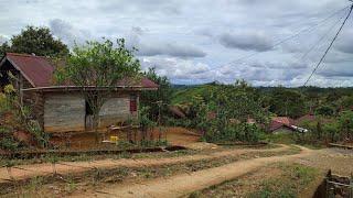 Kampung Pelosok Suku Jawa Asli Di Pedalaman Bengkulu, Bikin Trenyuh