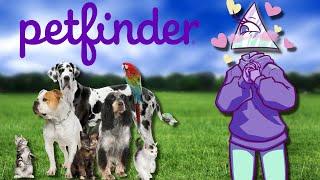 Reviewing Petfinder Names