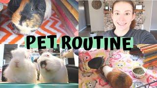 Taking Care of ALL My Animals! | DAILY PET CARE ROUTINE