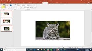 Image Resizing powerpoint Macro (VBA) - run on selection