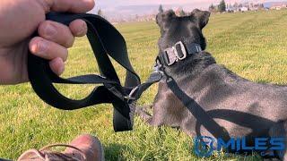 Miles Tactical Heavy Duty Dog Leash Adjustable for Training and Everyday use.