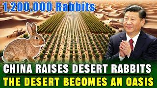 UNBELIEVABLE!  China Breeds 1,200,000 Rabbits in The Desert to Turn The Desert into an Oasis!