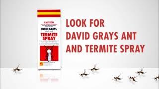 Ant & Termite Spray by DAVID GRAYS