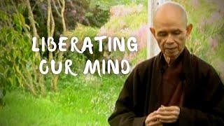 Liberating Our Mind: Untying Knots, the Ten Fetters | Thich Nhat Hanh (short teaching video)