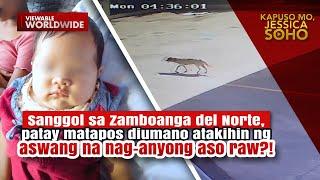 Sanggol, patay matapos diumano atakihin ng aswang na nag-anyong aso raw?! | Kapuso Mo, Jessica Soho