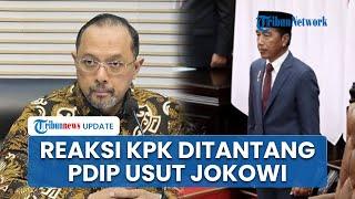 Respons KPK Ditantang Usut Dugaan Korupsi Jokowi yang Masuk Daftar Tokoh Dunia Terkorup versi OCCRP