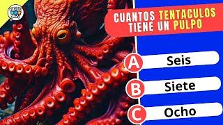  37 Preguntas de "PRIMARIA" que Pondrán a Prueba tu Conocimiento  | Cheesi Quiz 