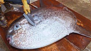 Amazing！Various Seafood Catching, Fish Cutting Skills Collection / 最驚奇的！各種海鮮捕捉過程, 魚的切割技-海鮮大合集