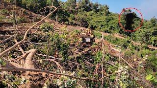 Very Extreme! D6r XL Bulldozer Operator Builds New Road on The Hill