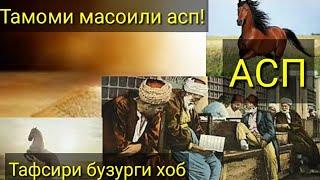 Таъбири хоб: Асп дар хоб чи таъбир дорад?/Тамоми масоили Асп дар хоб/Тафсири бузурги хоб/тбх/ТБХ/