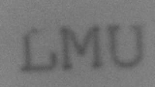 Thermophoresis of DNA