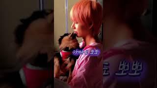 Yeontan with BTS! | BTS