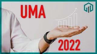 UMA 2022 | CAMBIO MODALIDAD 40 TOPADA #PENSIONES