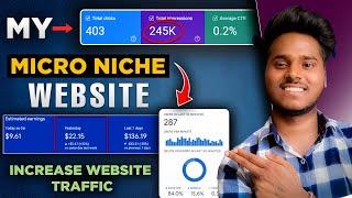 My international Micro Niches Website 2024  |  Advanced Tips for Grow Website Traffic