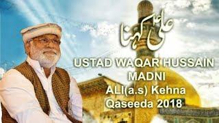 Qaseeda Maula Ali 13 Rajab Special-Ali a.s Kehna-Waqar Hussain Madni|2017|Madni Hussaini Production