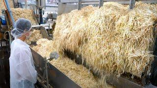 A process for mass producing bean sprouts and cut vegetables. Japan's largest vegetable factory.