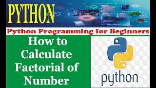 Python Programming | How To Calculate Factorial in Python