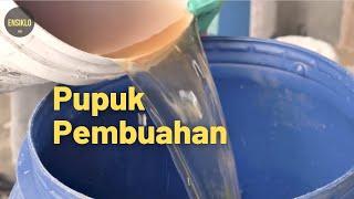 Membuat Pupuk Organik Cair untuk Pertumbuhan Generatif Tanaman