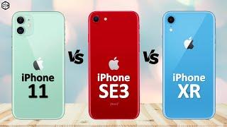 iPhone SE 3 2022 VS iPhone 11 VS iPhone XR